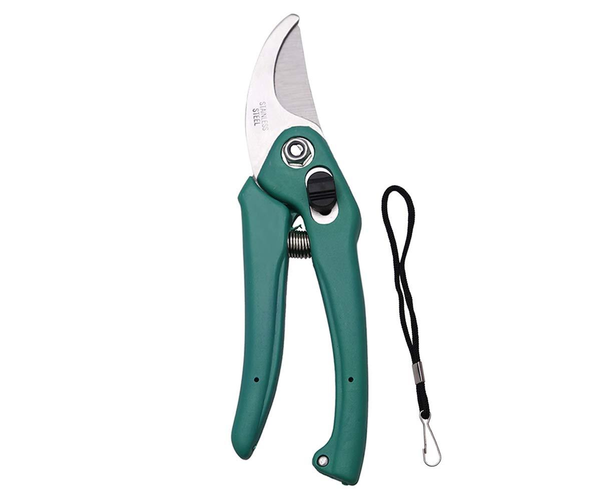 4_2ca5f92e-70e6-452c-a163-858a14f4a493.jpg Stainless Steel Garden Scissors - Image 1